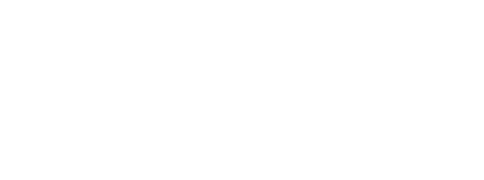 Anime All Day